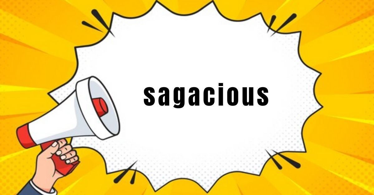 sagacious